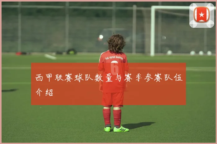 西甲联赛球队数量与赛季参赛队伍介绍