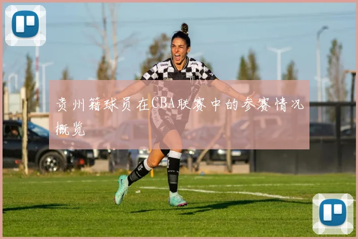 贵州籍球员在CBA联赛中的参赛情况概览