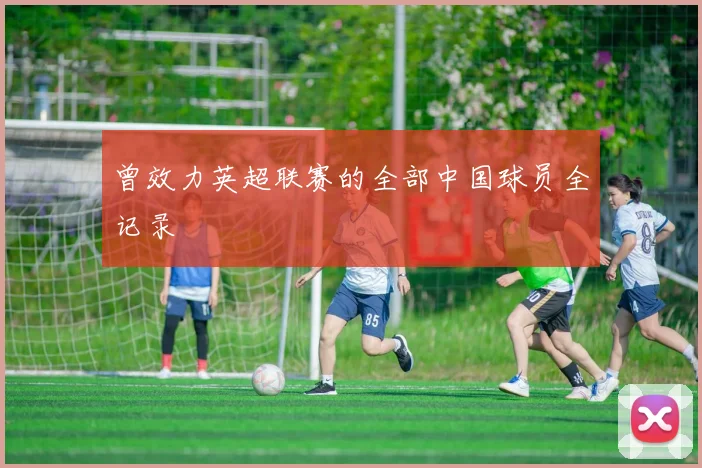 曾效力英超联赛的全部中国球员全记录