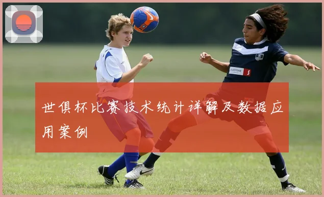 世俱杯比赛技术统计详解及数据应用案例