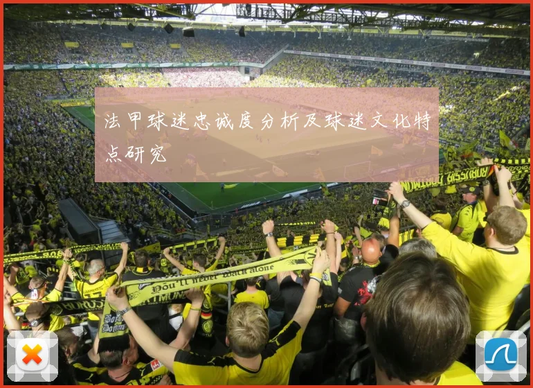 法甲球迷忠诚度分析及球迷文化特点研究